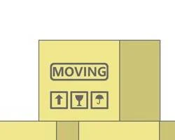 Move to Belgium from South Africa